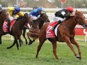 Coolmore Stud Stakes aim for Written By