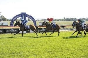 Hawkesbury betting preview & top odds | Thursday 1/7/2021