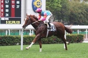 Purton looks for a Handsome return at Sha Tin