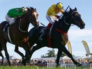 Class tells in Ipswich Cup for Weir