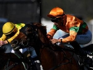 O'Dea finally gets his jewel at Ipswich