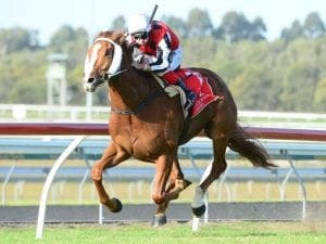 Sydney trip pays off for Fighting Teo