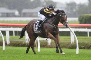 Stakes targets await Te Rapa winner Johny Johny