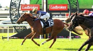 King Kapa bursts clear to score impressive Mark Hinkler Handicap win