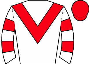 King's Gambit Silks