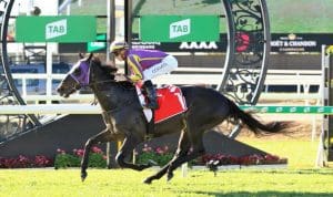 Emerging pair make spring statements on Stradbroke Handicap Day