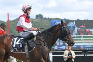 Sharrock dreaming of Melbourne Cup with Ladies Man