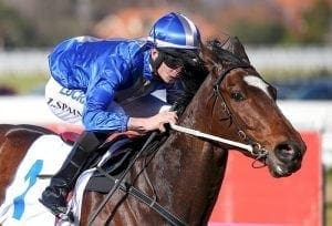 Spain guides Masculino to Caulfield win