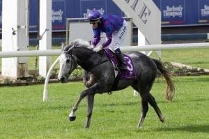 Megablast takes out Listed Caloundra Cup