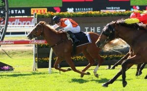 Namesake gets the head down in Oxlade Stakes win