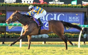 Munce's "lemon" lands the Dane Ripper Stakes