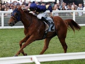 Ryan chasing a first in Queensland Derby