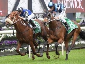 Hallelujah Boy claims overdue win