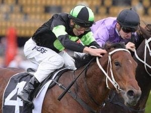 Magical return for Joe Pride sprinter