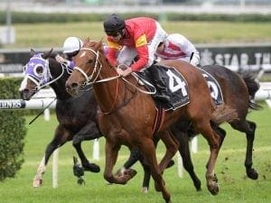 I Am Serious emphasises class at Randwick