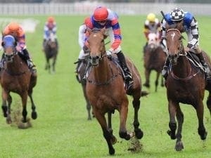 Poignant win for Adkins in Stayer's Cup