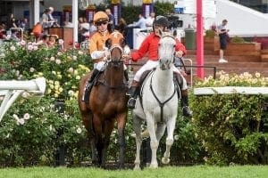 Rising Red out of Group Two Brisbane Cup