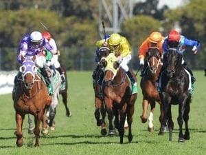 Chris Waller racks up training milestone