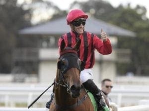 Sweet Victory goes up in class at Rosehill