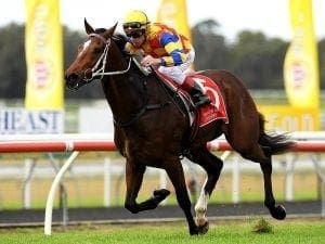 The Fire Trap wins Bruce McLachlan Classic