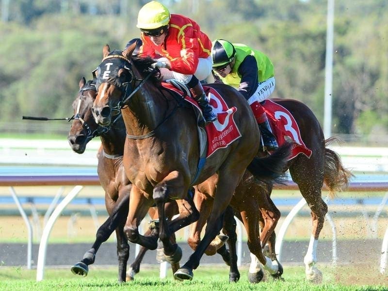 Jockey Jeff Lloyd rides Granny Red Shoes to victory in race 4.