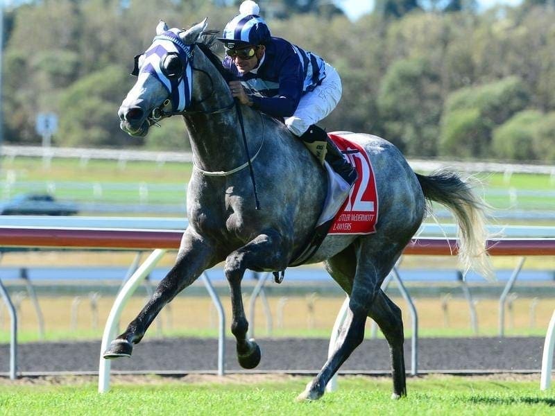 Jockey Corey Brown rides Spending To Win to win race 1 at Caloundra