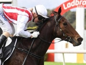 Global Sanction after second Sandown win