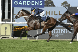 Shinzo opens as favourite for 2023 Golden Rose