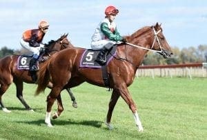 Plain sailing for stakes contender