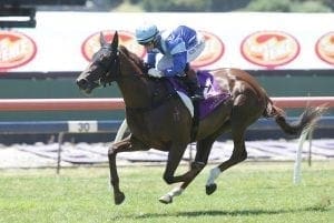 Spanish Whisper to be sent to Lindsay Park