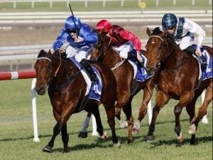 Cummings wants two Stradbroke runners