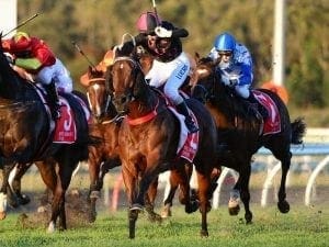 The Monstar primed for Stradbroke