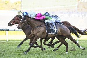 Collett's Strike at Randwick