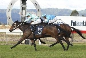 Marsh trio on target for Rotorua