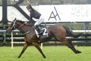 The Monstar winning at Randwick in June