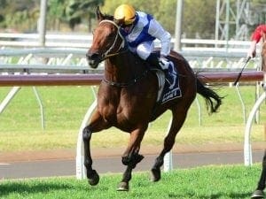 Protest repays Guy first-up at Toowoomba