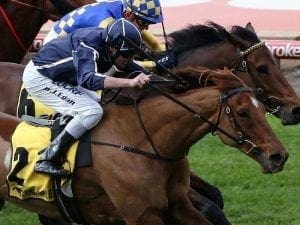 Widgee Turf wins again at Moonee Valley