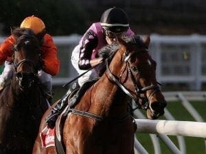 Miss Leonidas scores big win at the Valley