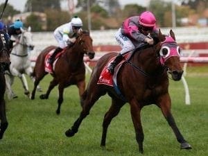 Meech out to remain unbeaten on Inn Keeper