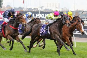 Verifier breaks through at Flemington