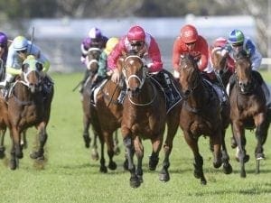 Sparkling debut for Bubbles'n'Troubles