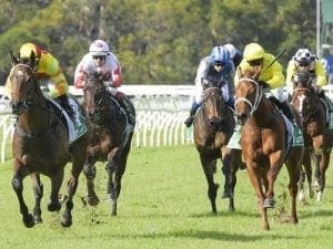 Sparkly Star shines as a gelding for Ryan