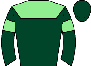 Whistlejacket Silks