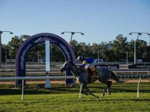 Absolut Artie passes the post at Rockhampton first