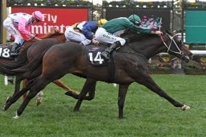 Hawkes has high hopes after Flemington win