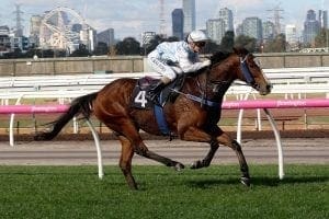 Daring Flemington victory for Choysa