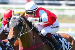 Dzsenifer wins at Doomben