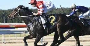 Intrinsic wins at Wyong