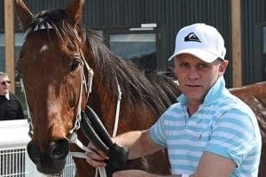 Horse trainer Jim Cerchi Jnr.