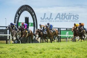 J.J. Atkins best bets & betting strategy | Eagle Farm | 11/6/2022